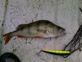 06062009013.jpg