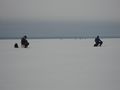 Filename=Ongella.JPG
Filesize=63KB
Dimensions=1690x1268
Date added=Apr 06, 2011 Ongella.JPG
