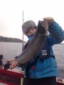 Filename=veikka ja tane.jpg
Filesize=120KB
Dimensions=900x1200
Date added=Oct 26, 2010 veikka ja tane.jpg