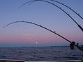 Filename=Kuva 012.jpg
Filesize=255KB
Dimensions=2048x1536
Date added=Dec 09, 2009 Kuva 012.jpg