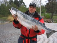 Jänkä, 8,8kg